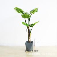 uploads/erp/collection/images/Home Garden/dgjiawang/XU0612726/img_b/XU0612726_img_b_5